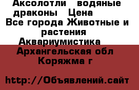 Аксолотли / водяные драконы › Цена ­ 500 - Все города Животные и растения » Аквариумистика   . Архангельская обл.,Коряжма г.